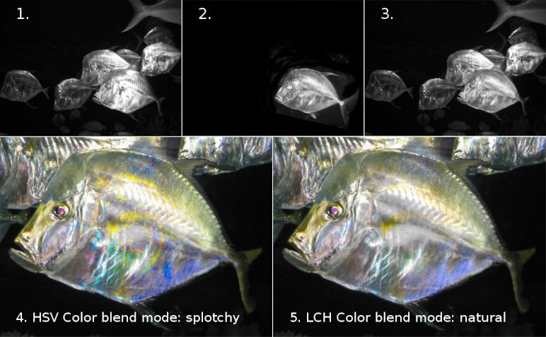 Compare LCH vs HSV when restoring color.