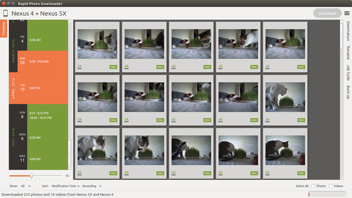 Rapid Photo Downloader timeline